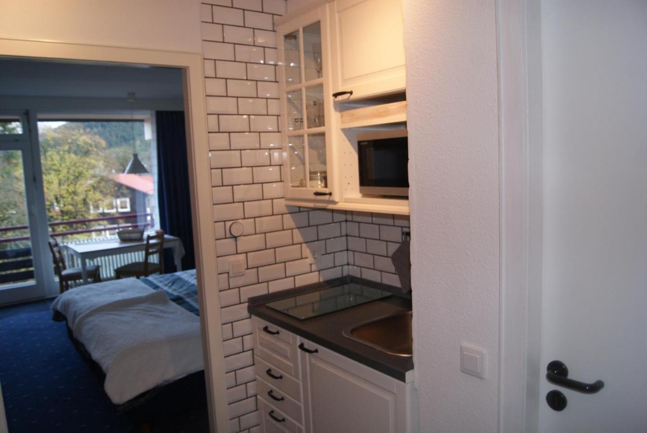 Apartament Bergblick471 Goslar Zewnętrze zdjęcie